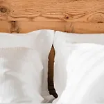 Oasi