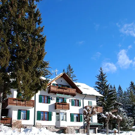 Oasi Hotel 2*
