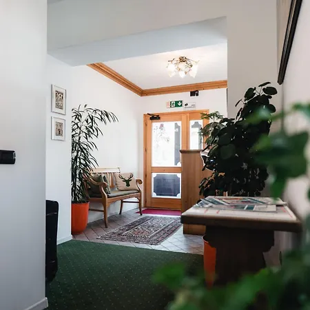 Oasi 科尔蒂纳丹佩佐